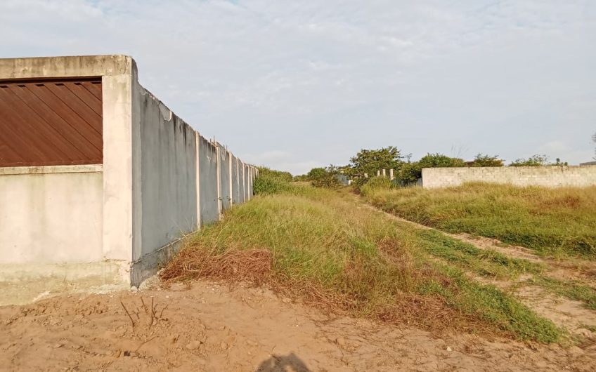 2 terrenos a venda na zona verde, 1200 metros quadrados fechado c tanque